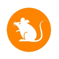 $rats $rats