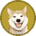 Neiro (First Neiro On Ethereum) Neiro (First Neiro On Ethereum)